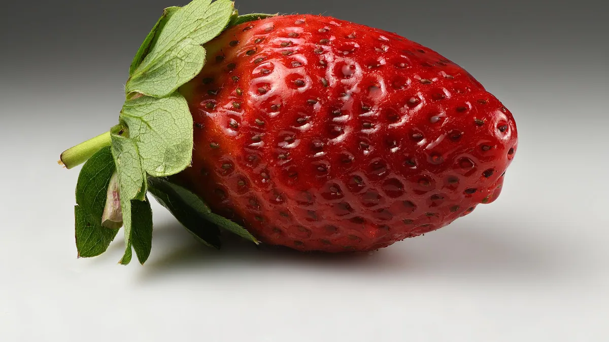 Aardbeien als meerjarige teelt: drie jaar oogst van één bed — illustratie bij artikel in categorie eetbare tuin op EcoTuinen, de Nederlandse kennisbank voor ecologisch tuinieren.