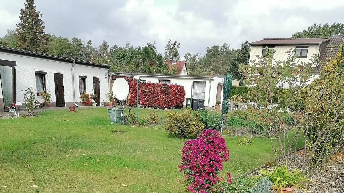 Herfstbloeiers en stilte-tuin: oktober-tot-eerste-vorst beplanting — illustratie bij artikel in categorie natuurlijk onderhoud op EcoTuinen, de Nederlandse kennisbank voor ecologisch tuinieren.