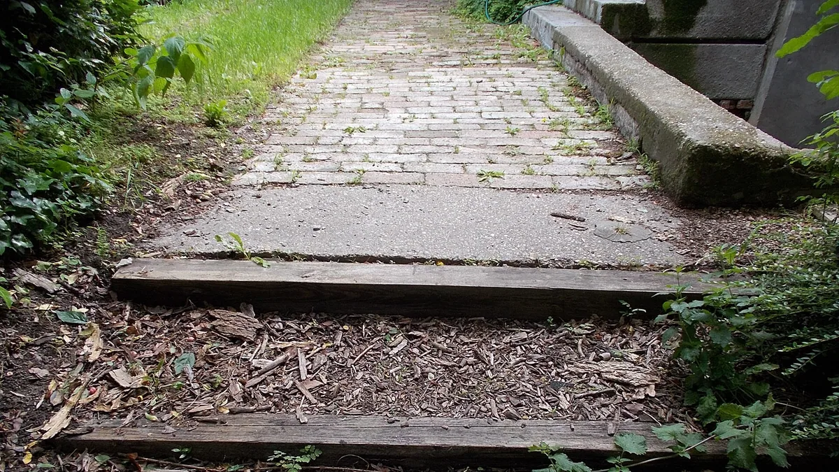 Mulch in de Nederlandse tuin: zeven materialen vergeleken — illustratie bij artikel in categorie bodem composteren op EcoTuinen, de Nederlandse kennisbank voor ecologisch tuinieren.