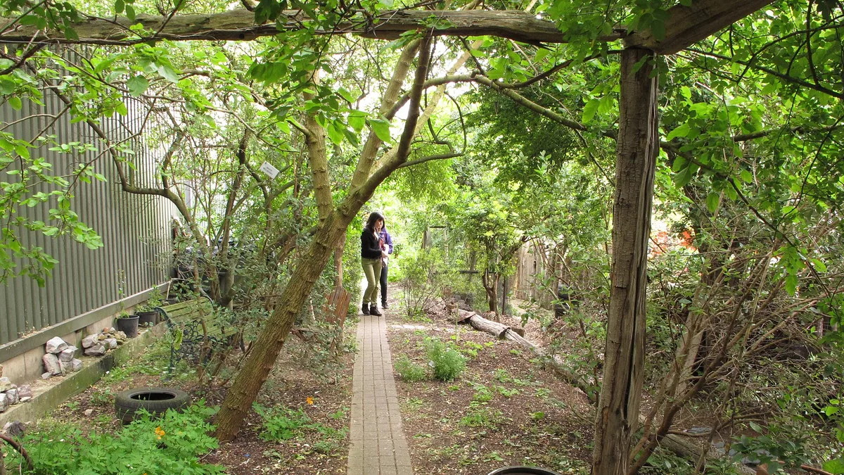 Beginnen met permacultuur in je tuin — illustratie bij artikel in categorie permacultuur op EcoTuinen, de Nederlandse kennisbank voor ecologisch tuinieren.
