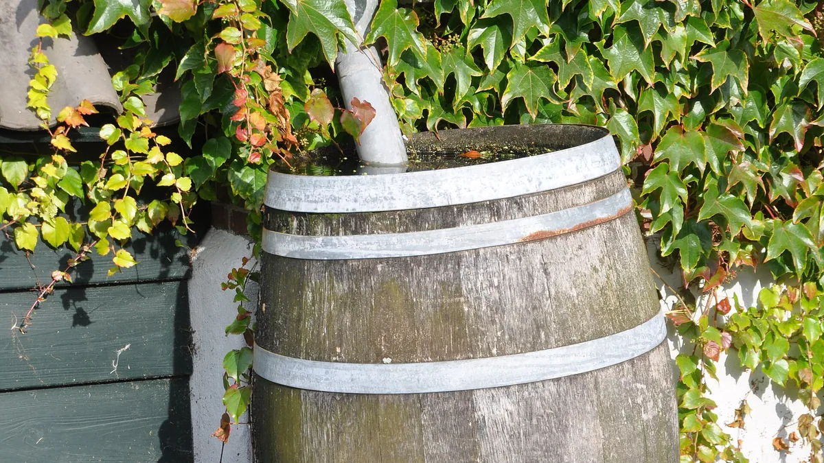 Regenton en infiltratiekrat: wat houdt een gemiddelde tuin echt vast — illustratie bij artikel in categorie water in de tuin op EcoTuinen, de Nederlandse kennisbank voor ecologisch tuinieren.