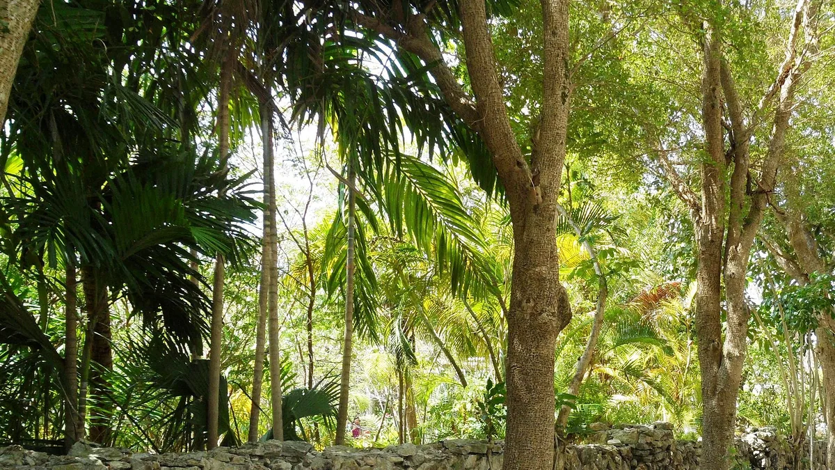 Stapelmuur bouwen: een vol leven kleine ruimte — illustratie bij artikel in categorie tuinideeen op EcoTuinen, de Nederlandse kennisbank voor ecologisch tuinieren.