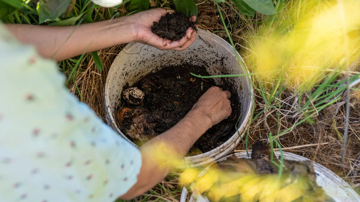 Vermicompost: wormencasting als superfood voor planten | Ecologisch tuinieren — EcoTuinen kennisbank Vermicompost: wormencasting als superfood voor planten — illustratie bij artikel in categorie bodem composteren op EcoTuinen, de Nederlandse kennisbank voor ecologisch tuinieren.