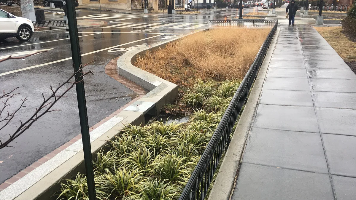 Wadi in de tuin: regenwater laten infiltreren — illustratie bij artikel in categorie tuinideeen op EcoTuinen, de Nederlandse kennisbank voor ecologisch tuinieren.