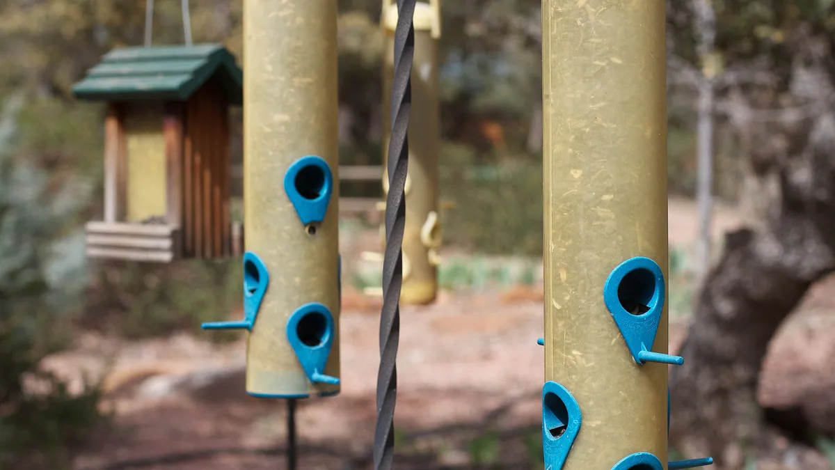 Wintervogels bijvoeren: wat werkt, wat schaadt, wanneer beginnen — illustratie bij artikel in categorie biodiversiteit op EcoTuinen, de Nederlandse kennisbank voor ecologisch tuinieren.