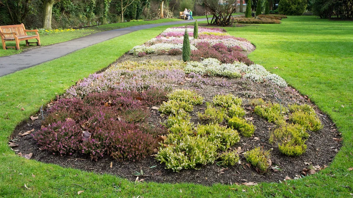 Vroege buiten-zaai: welke groenten verdragen maartse vorst — illustratie bij artikel in categorie eetbare tuin op EcoTuinen, de Nederlandse kennisbank voor ecologisch tuinieren.