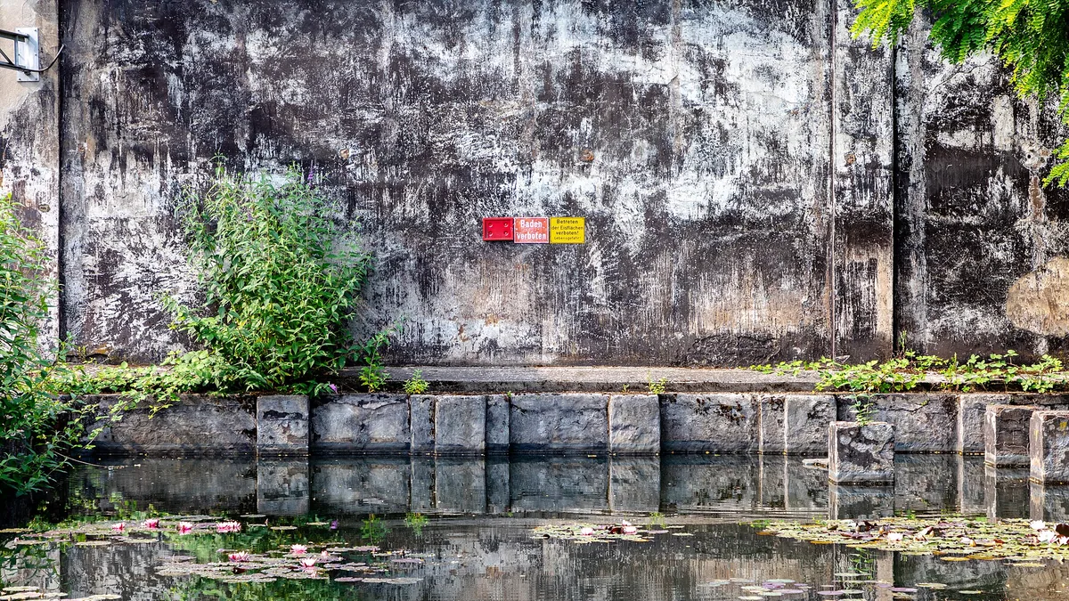 Zwemvijver in de tuin: helder water zonder chloor — illustratie bij artikel in categorie water in de tuin op EcoTuinen, de Nederlandse kennisbank voor ecologisch tuinieren.