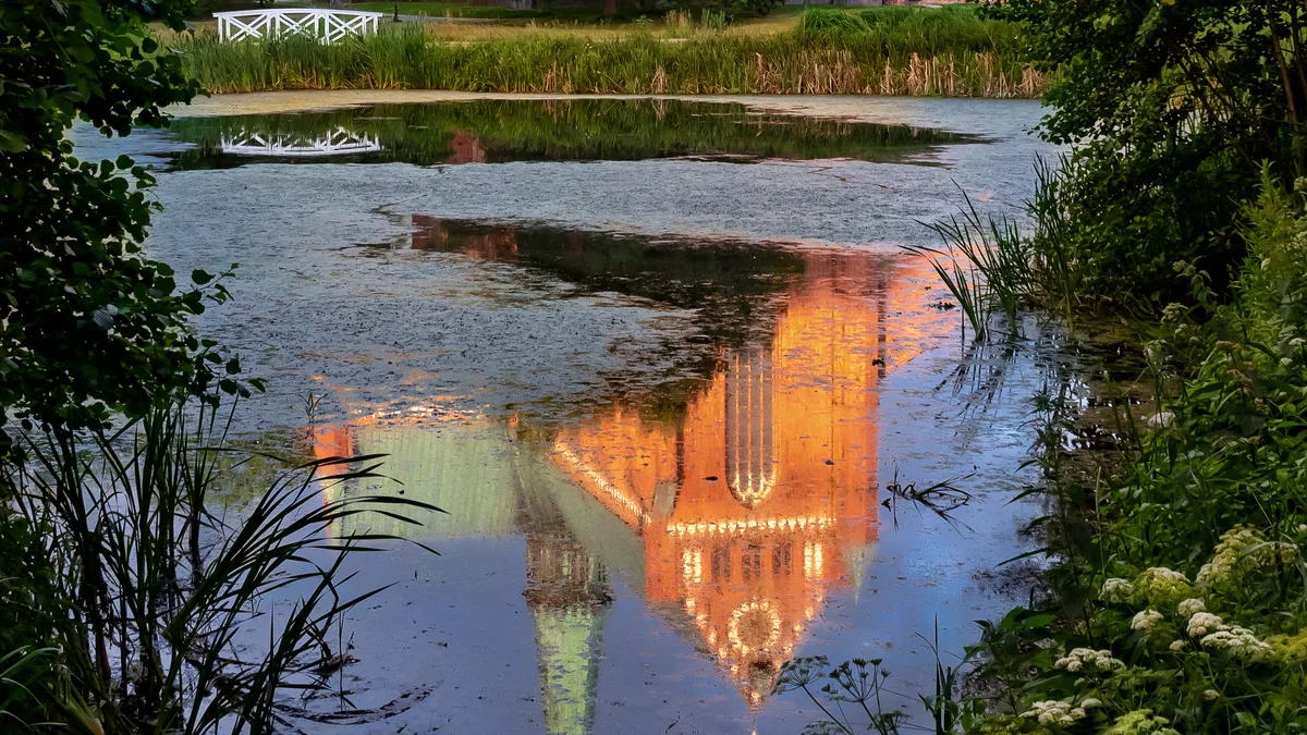 Fluitenkruid