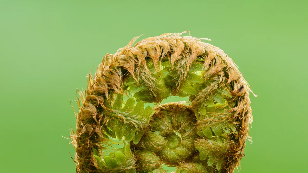Mannetjesvaren